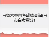 乌鲁木齐自考成绩查询(乌市自考查分)