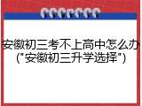 安徽初三考不上高中怎么办("安徽初三升学选择")