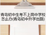 青岛初中生考不上高中学校怎么办(青岛初中升学出路)