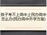 孩子考不上高中上民办高中怎么办(民办高中升学方案)