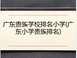 广东贵族学校排名小学(广东小学贵族排名)