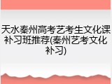 天水秦州高考艺考生文化课补习班推荐(秦州艺考文化补习)