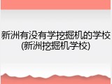 新洲有没有学挖掘机的学校(新洲挖掘机学校)