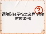铜陵财经学校怎么样(铜陵财校如何)