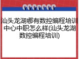 汕头龙湖哪有数控编程培训中心中职怎么样(汕头龙湖数控编程培训)