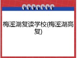 梅溪湖复读学校(梅溪湖高复)