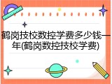 鹤岗技校数控学费多少钱一年(鹤岗数控技校学费)