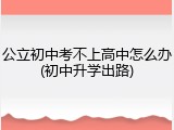 公立初中考不上高中怎么办(初中升学出路)