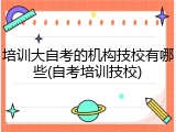 培训大自考的机构技校有哪些(自考培训技校)