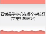 石城县学挖机在哪个学校好(学挖机哪家好)