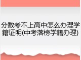 分数考不上高中怎么办理学籍证明(中考落榜学籍办理)