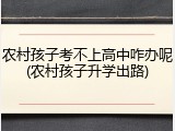 农村孩子考不上高中咋办呢(农村孩子升学出路)