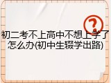 初二考不上高中不想上学了怎么办(初中生辍学出路)