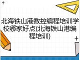 北海铁山港数控编程培训学校哪家好点(北海铁山港编程培训)