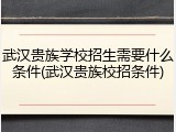 武汉贵族学校招生需要什么条件(武汉贵族校招条件)