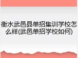 衡水武邑县单招集训学校怎么样(武邑单招学校如何)
