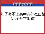 儿子考不上高中有什么出路(儿子升学出路)