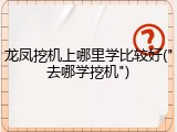 龙凤挖机上哪里学比较好("去哪学挖机")