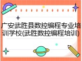 广安武胜县数控编程专业培训学校(武胜数控编程培训)