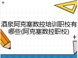 酒泉阿克塞数控培训职校有哪些(阿克塞数控职校)