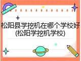 松阳县学挖机在哪个学校好(松阳学挖机学校)