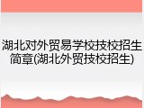 湖北对外贸易学校技校招生简章(湖北外贸技校招生)