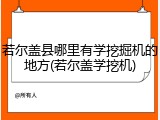 若尔盖县哪里有学挖掘机的地方(若尔盖学挖机)