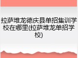 拉萨堆龙德庆县单招集训学校在哪里(拉萨堆龙单招学校)