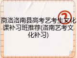 商洛洛南县高考艺考生文化课补习班推荐(洛南艺考文化补习)