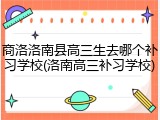 商洛洛南县高三生去哪个补习学校(洛南高三补习学校)