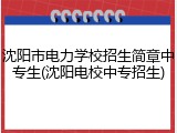 沈阳市电力学校招生简章中专生(沈阳电校中专招生)