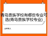 青岛贵族学校有哪些专业可选(青岛贵族学校专业)