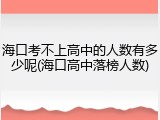 海口考不上高中的人数有多少呢(海口高中落榜人数)