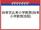 自考怎么考小学教育(自考小学教育流程)