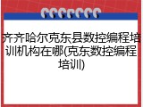 齐齐哈尔克东县数控编程培训机构在哪(克东数控编程培训)