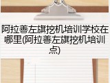 阿拉善左旗挖机培训学校在哪里(阿拉善左旗挖机培训点)