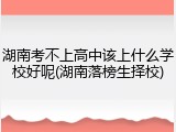 湖南考不上高中该上什么学校好呢(湖南落榜生择校)