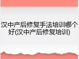 汉中产后修复手法培训哪个好(汉中产后修复培训)