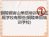 铜陵铜官山单招培训学校正规学校有那些(铜陵单招培训学校)