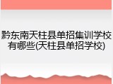 黔东南天柱县单招集训学校有哪些(天柱县单招学校)