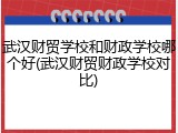 武汉财贸学校和财政学校哪个好(武汉财贸财政学校对比)
