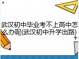武汉初中毕业考不上高中怎么办呢(武汉初中升学出路)