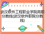 武汉软件工程职业学院高职分数线(武汉软件职院分数线)