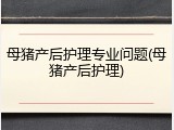 母猪产后护理专业问题(母猪产后护理)