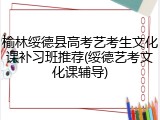 榆林绥德县高考艺考生文化课补习班推荐(绥德艺考文化课辅导)