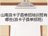 山南浪卡子县单招培训班有哪些(浪卡子县单招班)