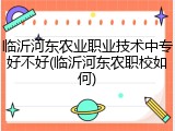 临沂河东农业职业技术中专好不好(临沂河东农职校如何)