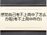 感觉自己考不上高中了怎么办呢(考不上高中咋办)