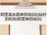 阿里革吉县单招培训比较好的机构(阿里单招培训)