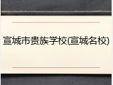 宣城市贵族学校(宣城名校)